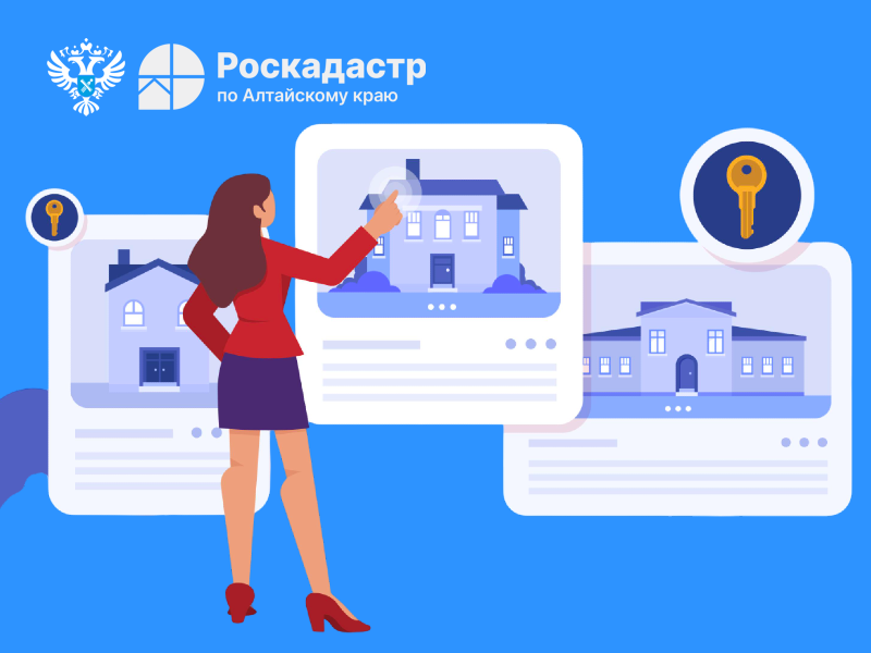 Эксперты рекомендуют пользоваться ситуационным сервисом Росреестра .