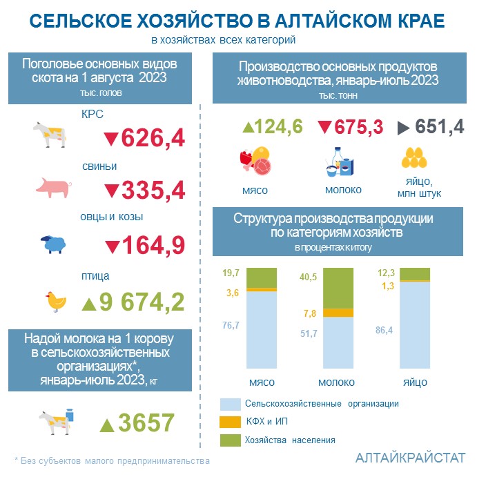 О сельском хозяйстве Алтайского края в январе-июле 2023 года.