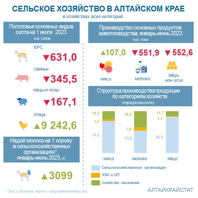 О сельском хозяйстве Алтайского края в январе-июне 2023 года.