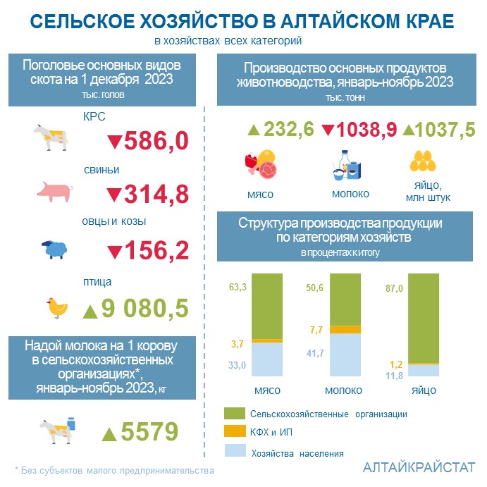 О сельском хозяйстве Алтайского края в январе-ноябре 2023 года.