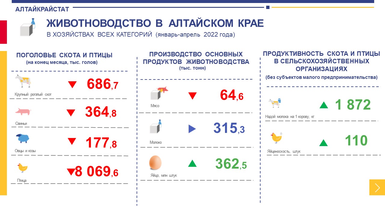 О сельском хозяйстве Алтайского края в январе-апреле 2022 года.