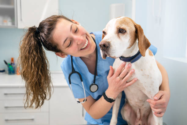 Ветеринарный врач – профессия для не равнодушных.