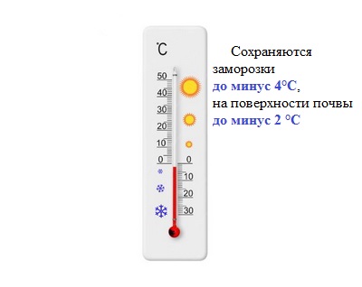 ШТОРМОВОЕ ПРЕДУПРЕЖДЕНИЕ 30 мая по территории Алтайского края сохраняются заморозки до минус 4 °С, 31 мая на поверхности почвы до минус 2 °С..