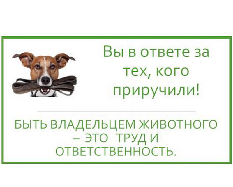 ВНИМАНИЕ! Уважаемые жители района !        Управление сельского хозяйства  Администрации Ребрихинского района информирует:.