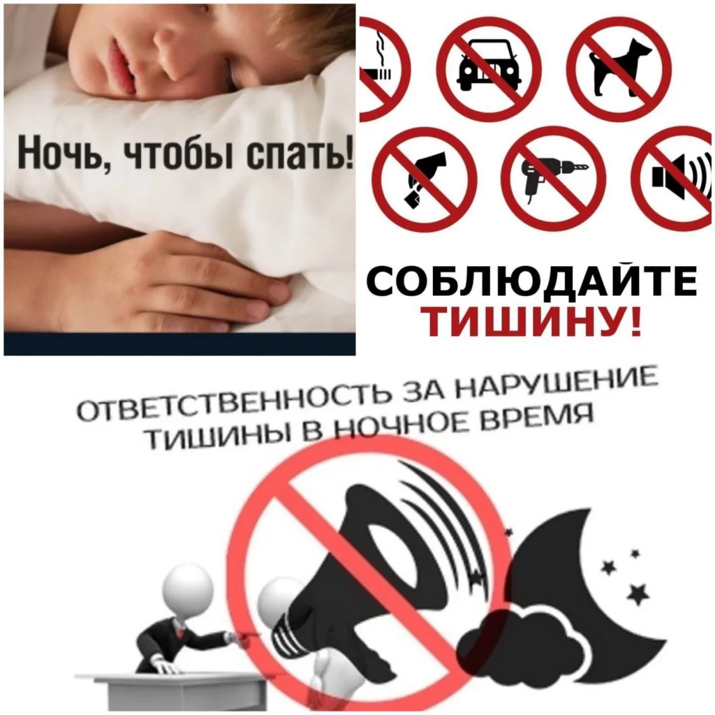 От громких басов до тихого протокола: хроника одной бессонной ночи….